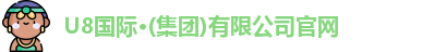 U8国际